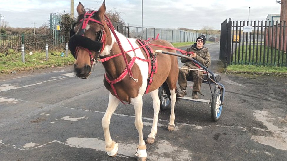 The horses and carts racing on Ireland's motorways