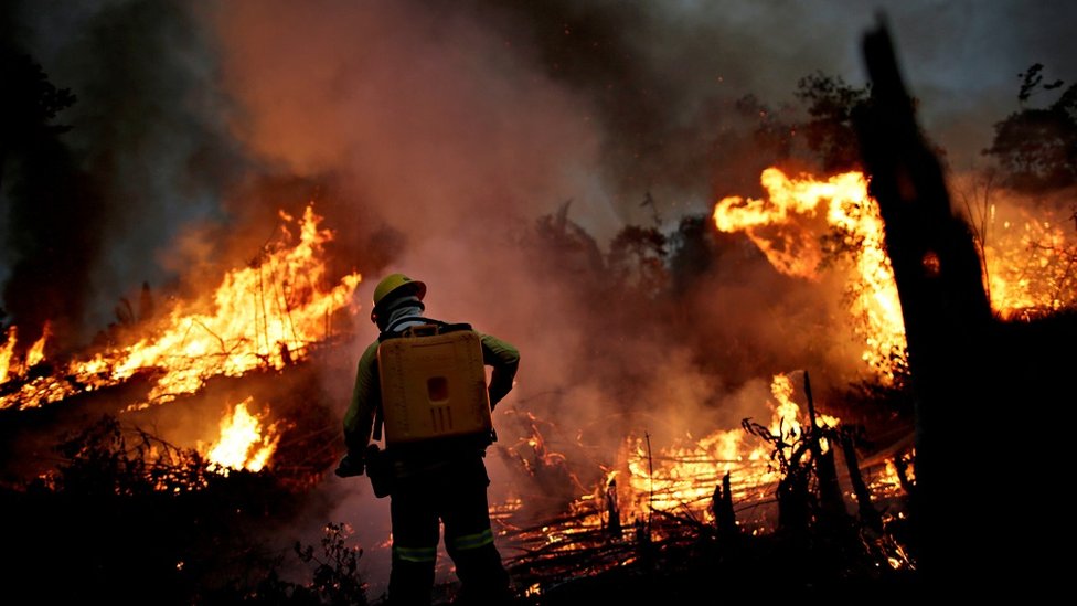 Член пожарной бригады Бразильского института окружающей среды и возобновляемых природных ресурсов (IBAMA) пытается контролировать пожар в джунглях Амазонки в Апуи, штат Амазонас, Бразилия, 11 августа 2020 г.