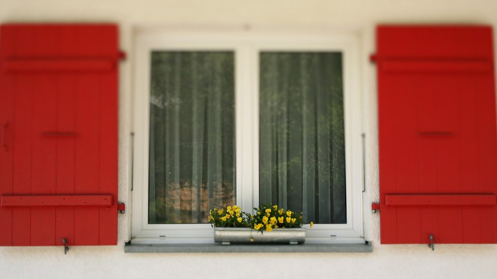 Prozor i cveće