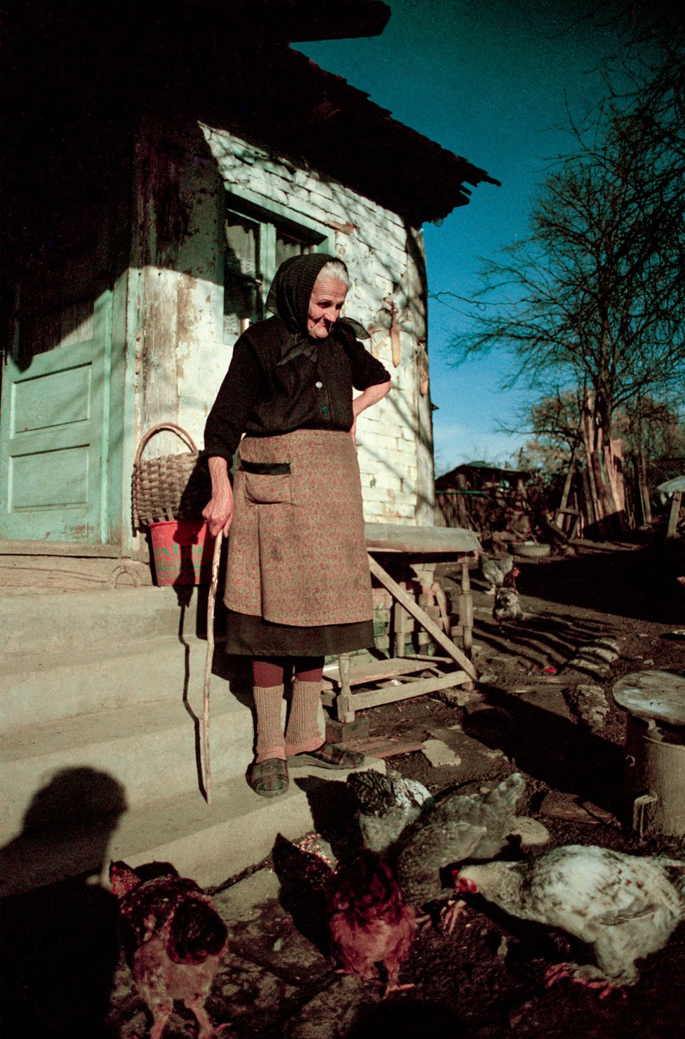 Пожилая женщина смотрит на цыплят за пределами дома