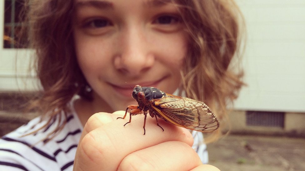 A girl holding a cicada on her hand