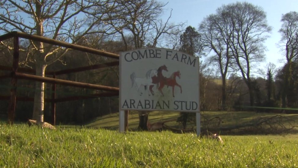 Знак Combe Farm Arabian Horses