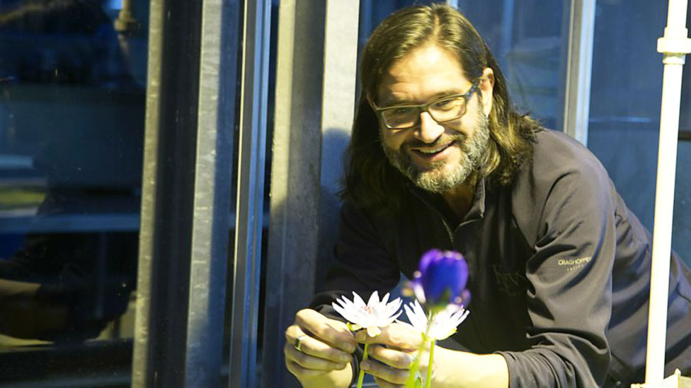 "Cualquier persona puede ser un mesías de las plantas". Carlos Magdalena