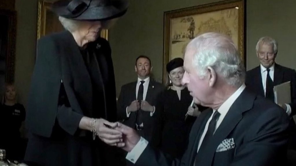 WATCH: Leaking pen bothers King Charles III at signing