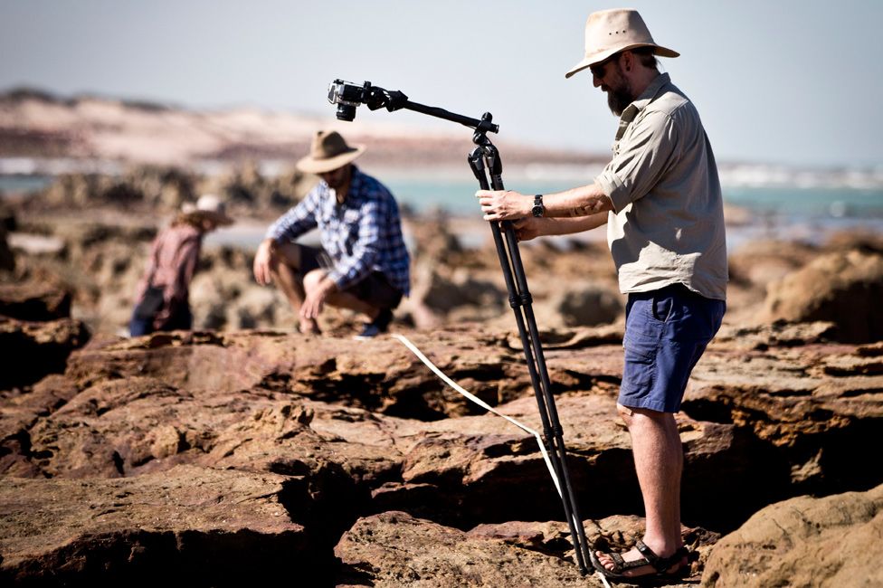 Huellas de dinosaurio en Australia
