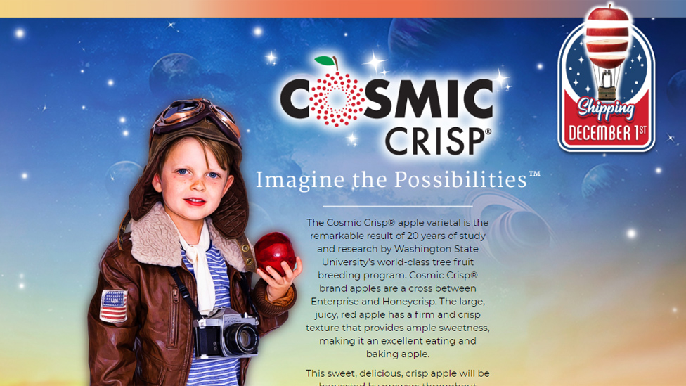 Реклама Cosmic Crisp