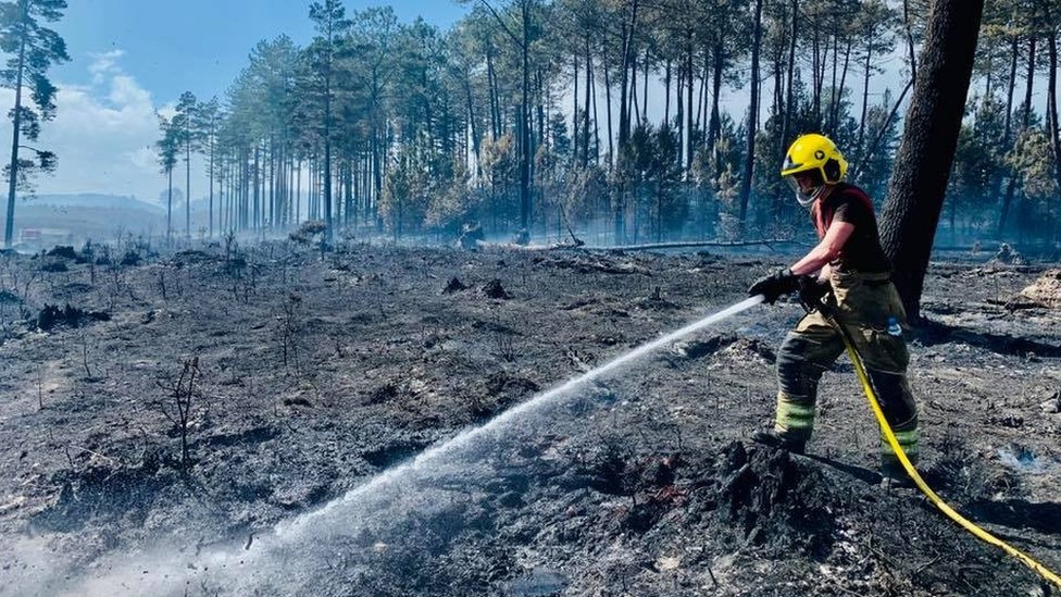 Wareham fire - понедельник, выходной день