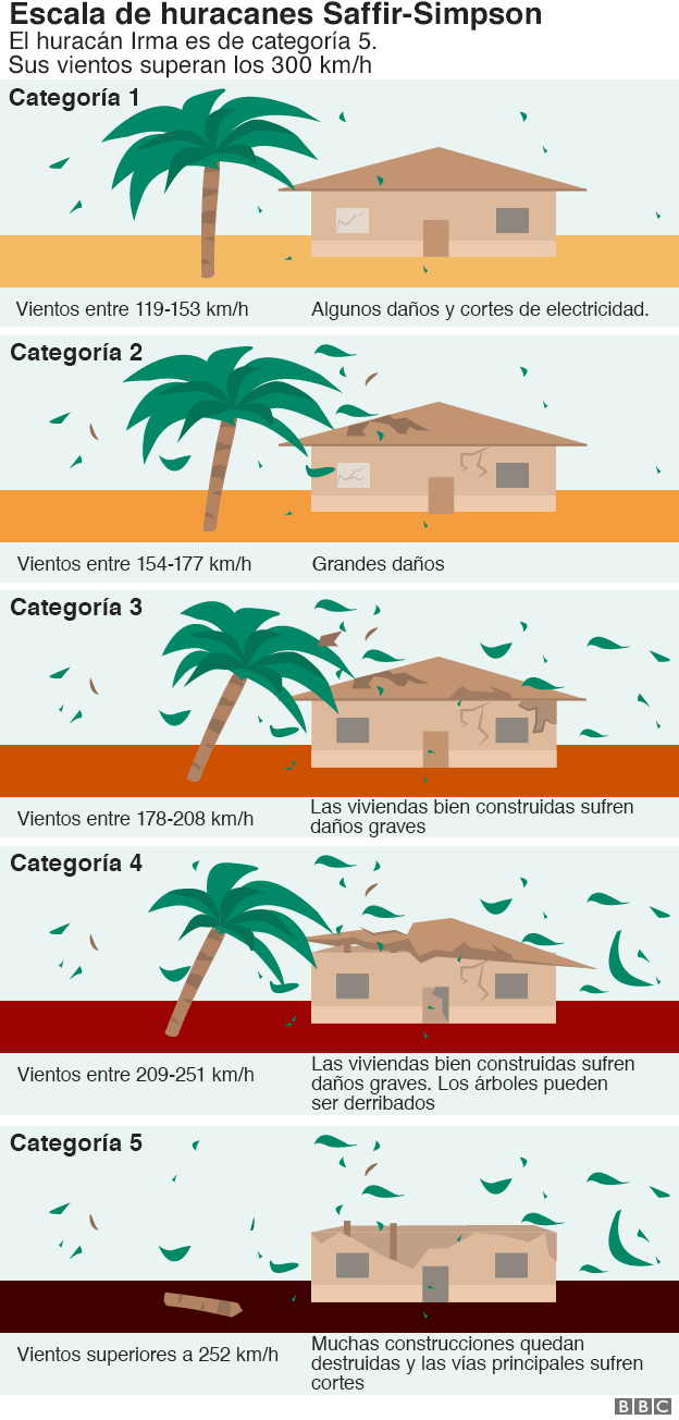 Gráfico de las categorías