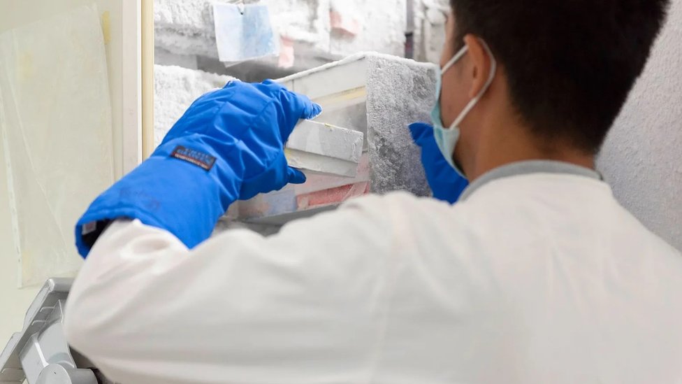 Um homem com luvas, jaleco e máscara coloca amotras de vírus dentro de uma caixnha em um freezer