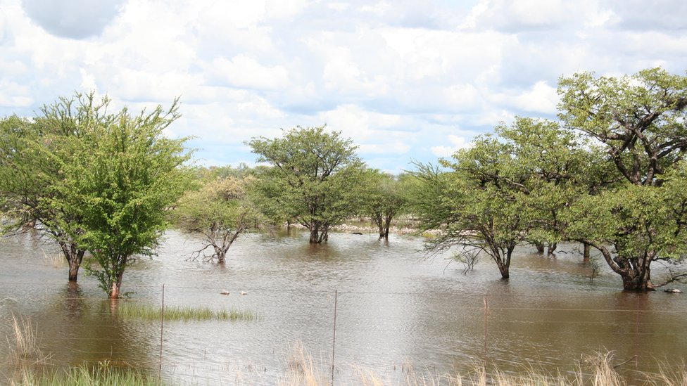 Los cambios cíclicos afectan la temporada de lluvias monzones. Temporada de monzones en Namibia