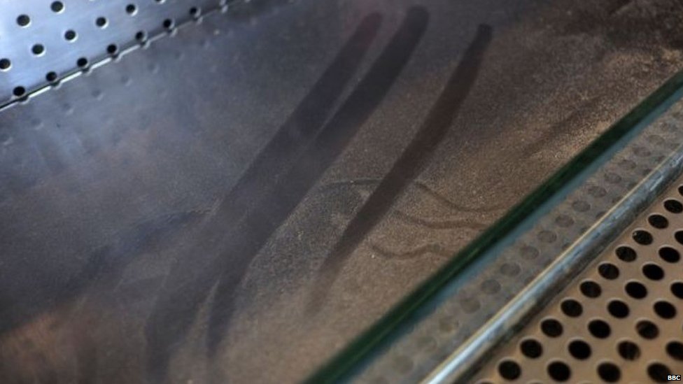 Изображение показывает пыль на стекле с четкими следами от пальцев