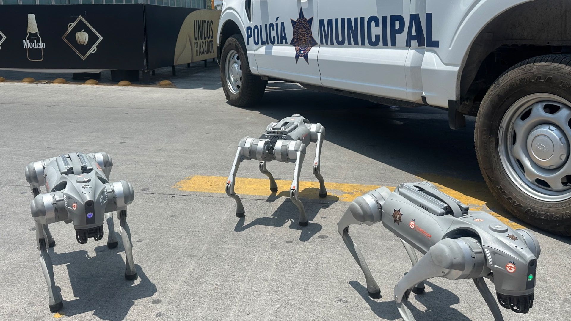Robodogs and helicopters: One Mexican city's approach to World Cup