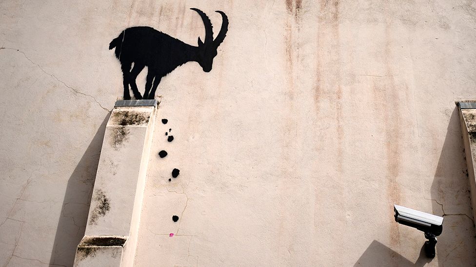 ADAM LISTER アダムリスター　BANKSY バンクシー Banksy goat artwork appears on west London building