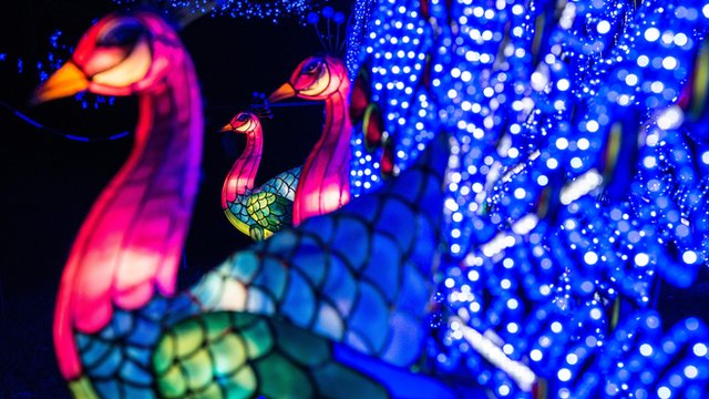 bbc chinese new year dance