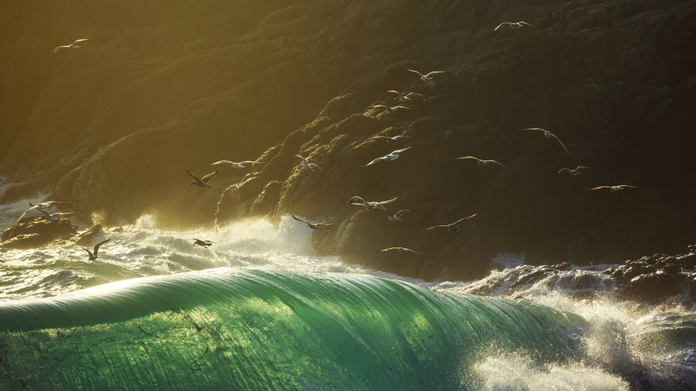 Las olas rebeldes se pueden predecir, pero muy poco antes de que ocurran. Ola