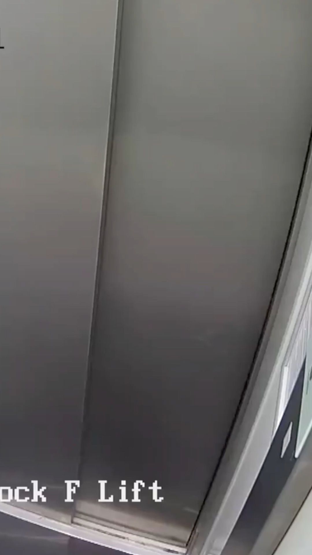 Kako se odvilo ubistvo tinejdžera Henrija Novaka u Velikoj Britaniji