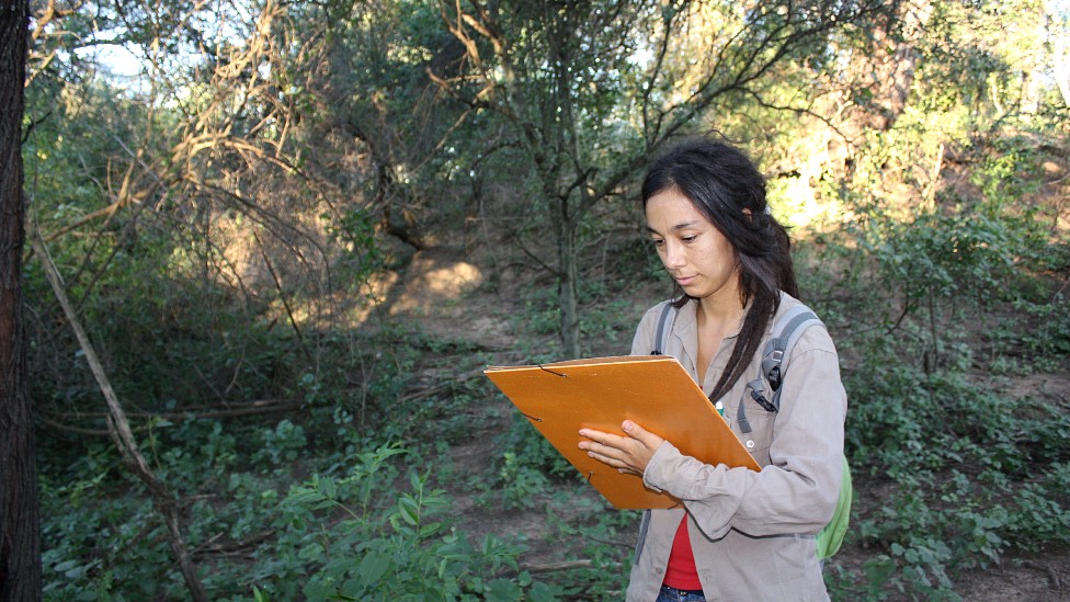 Micaela Camino haciendo trabajo de campo en el bosque del Chaco