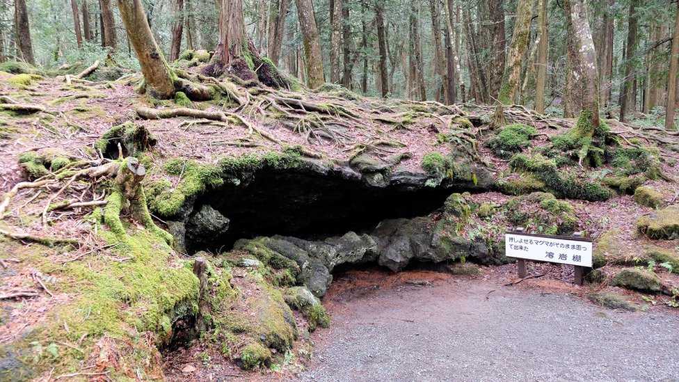 Floresta de Aokigahara