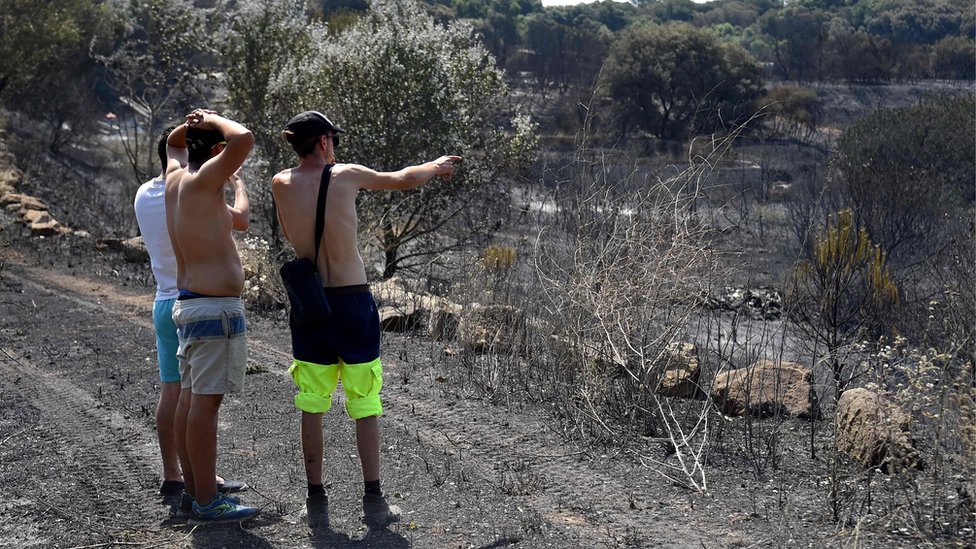 Мужчина жестикулирует, показывая выжженную сельскую местность после того, как лесной пожар обрушился на страну вокруг Сен-Жиля