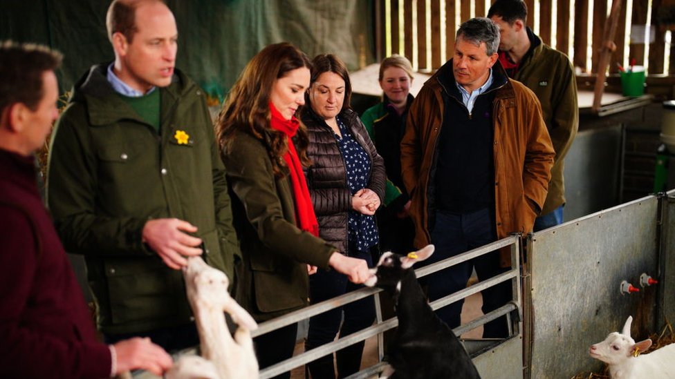 Prince William and Catherine meet some goats as they visit Pant Farm near Abergavenny