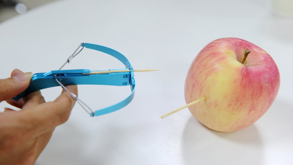 El juguete puede perforar una manzana. Ballesta