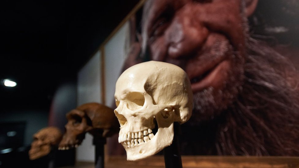 Exposición sobre los neandertales en un museo de Toulouse, Francia