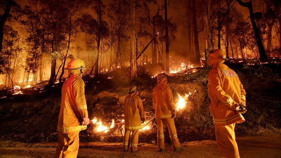 Пожарные сжигают щетку для предотвращения лесных пожаров