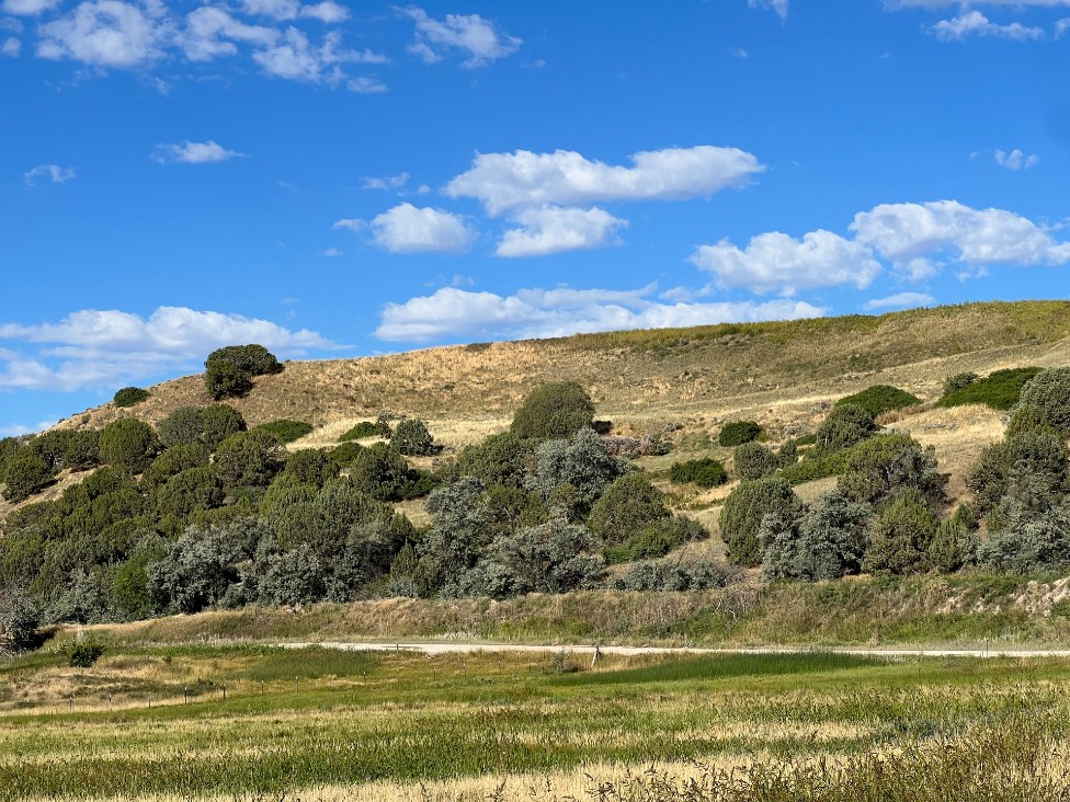 Colina por onde desceram os soldados em direção ao acampamento shoshone em 1863