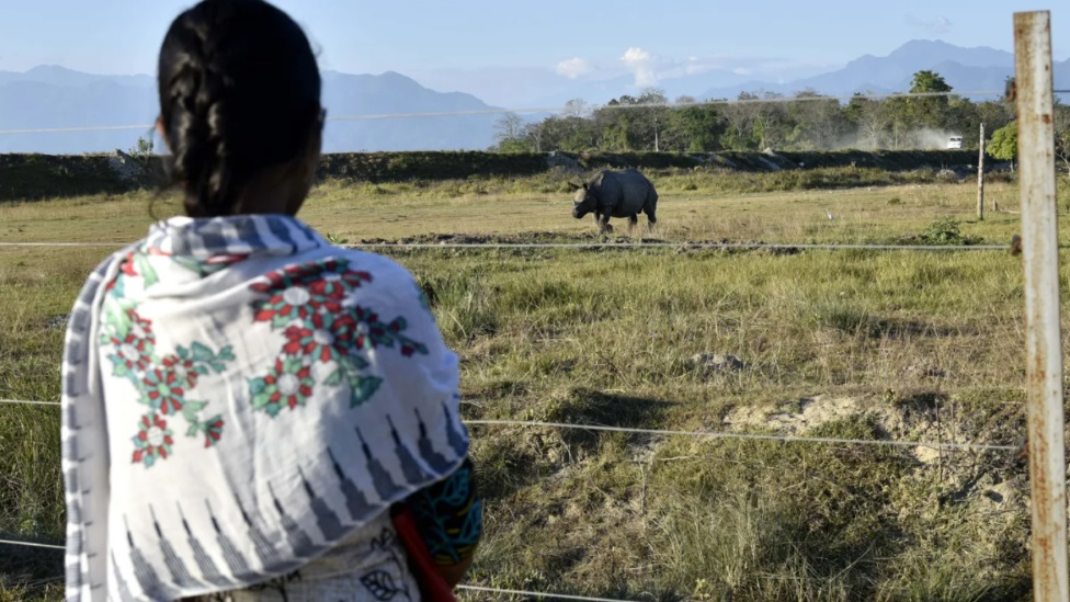 Visoko poštovanje lokalnog stanovništva u Manasu za svoje nosoroge bilo je ključno za podršku rastućoj populaciji