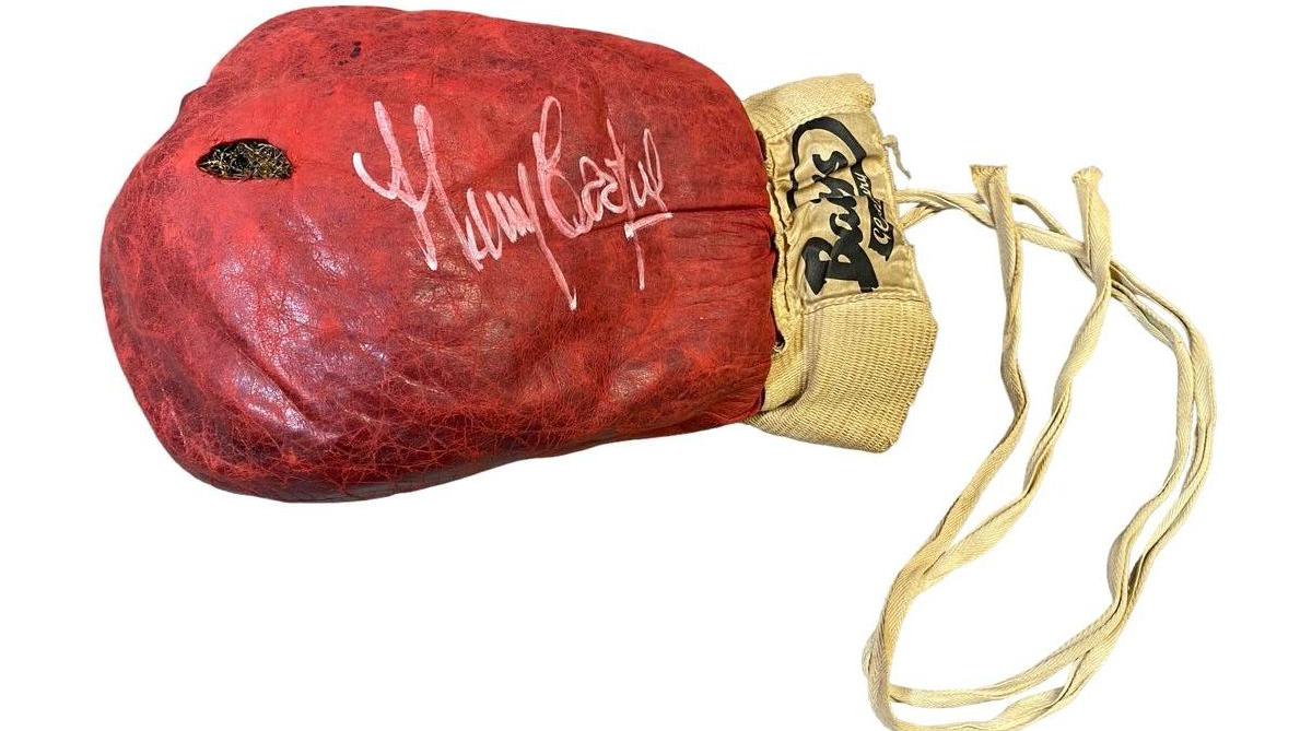 Boxing gloves 2024 Signed