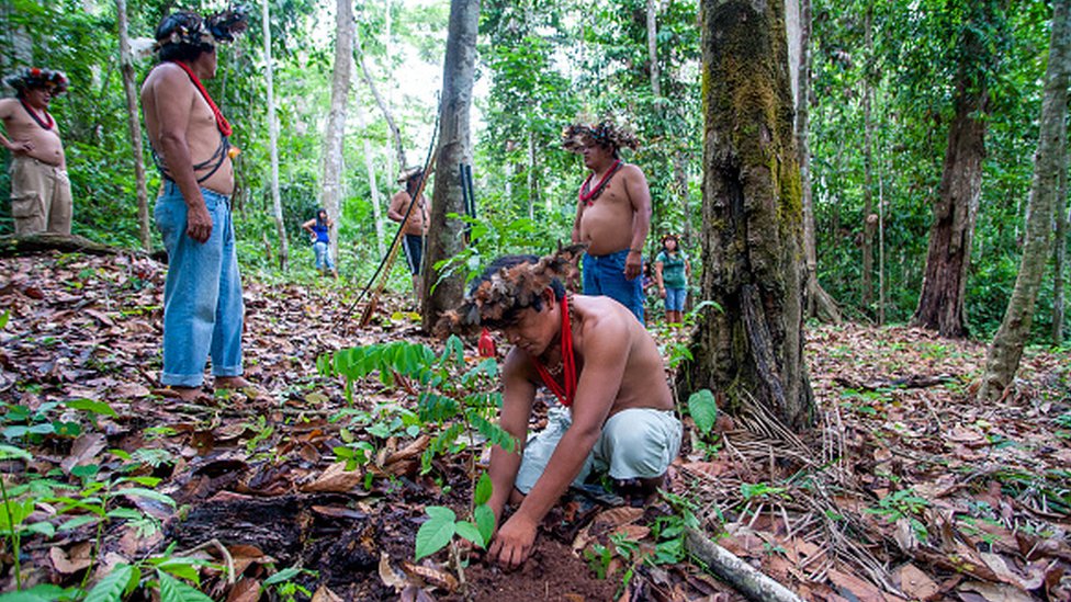 Ratanabá: por qué la leyenda de la ciudad perdida en el Amazonas 'no tiene sentido'