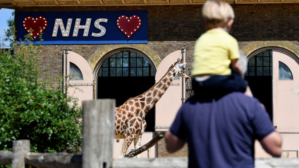Национальная служба здравоохранения подписала соглашение с жирафами