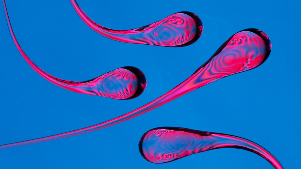 Además de ser extraordinarias, son bellas y, aunque transparentes, guardaron sus secretos por siglos. Gotas del príncipe Rupert.