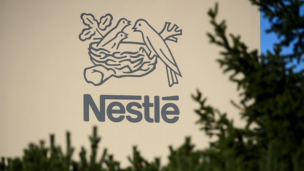 nestle2_4fefc2a5-cb66-43e4-a86f-16c487b03fa3_600x.jpg?v=1613405096