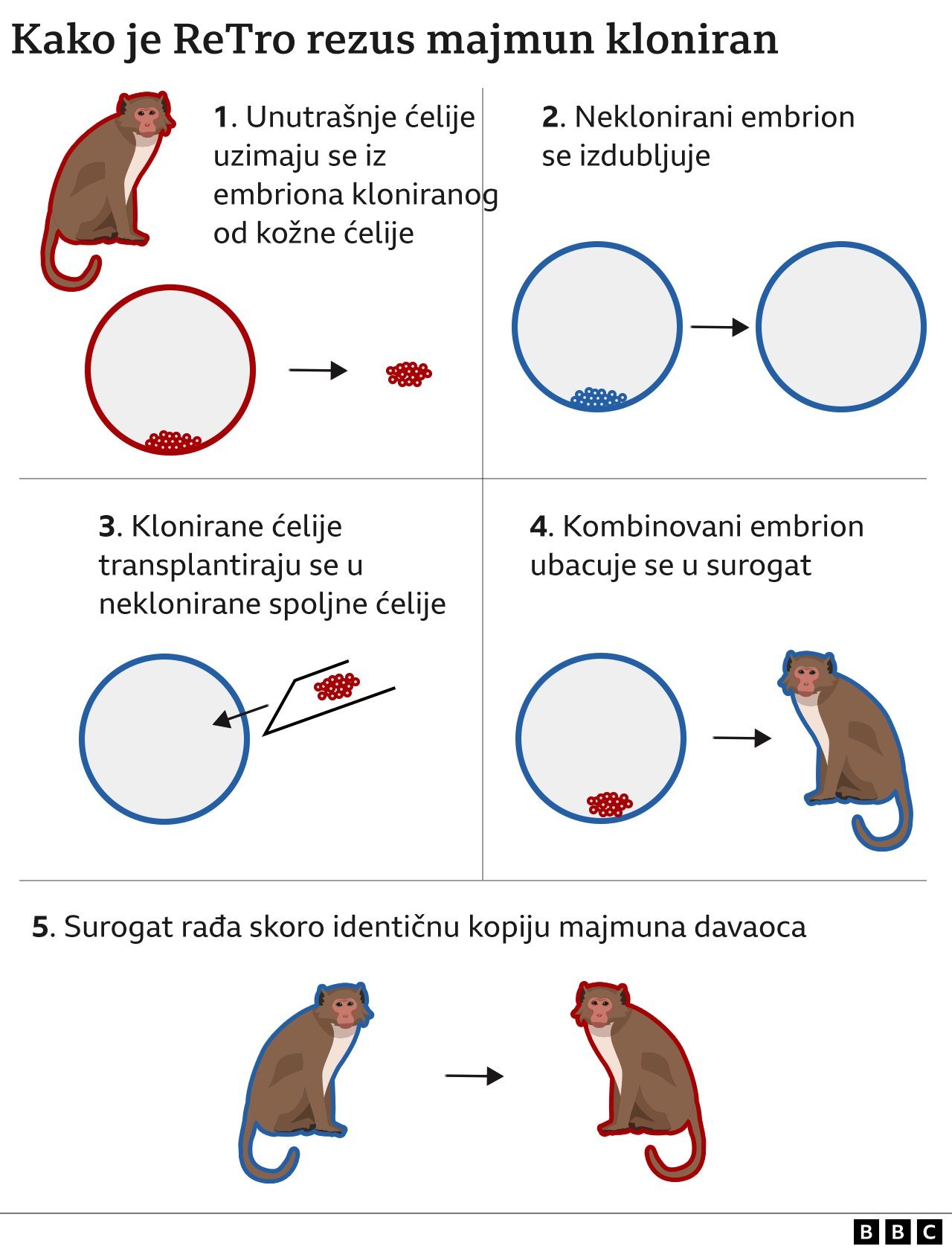 grafika kloniranja