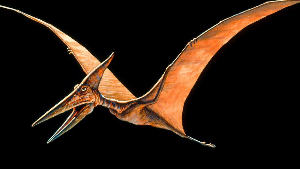 Ilustración de un pterosaurio