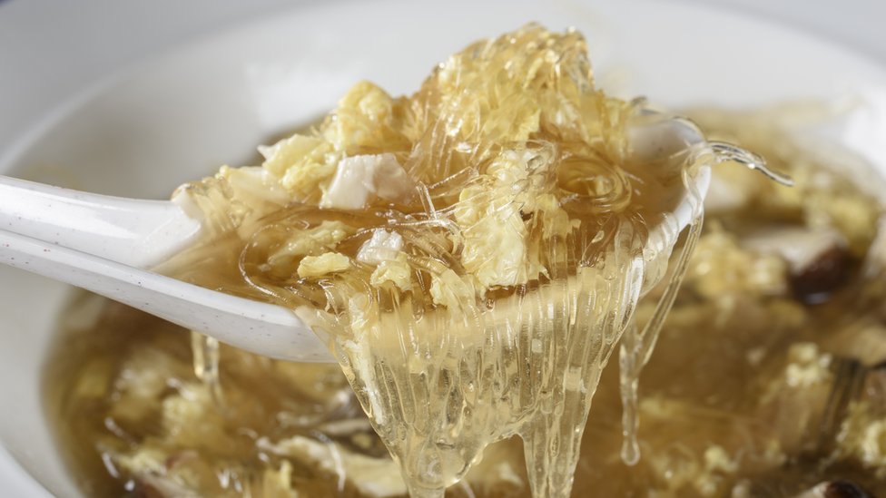 En China, se hace sopa con las aletas de tiburón. Sopa de tiburón