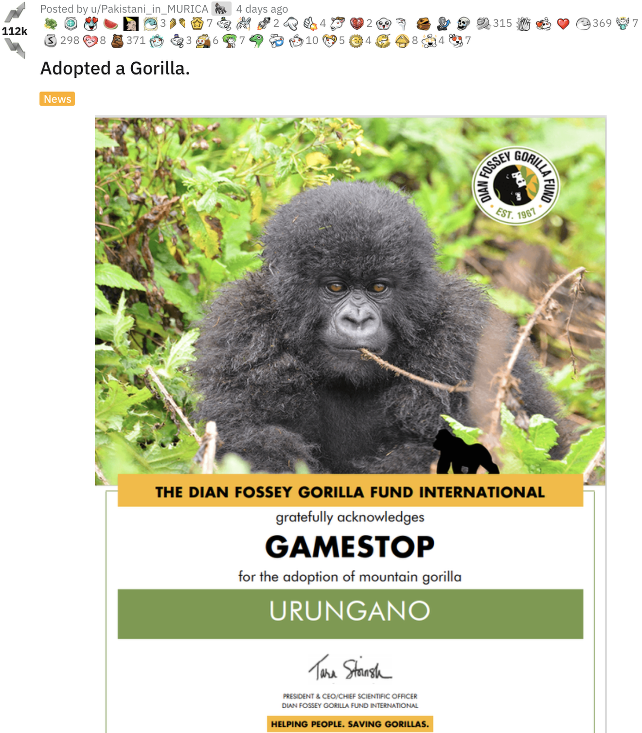 Gamestop Reddit Users Investing In Gorilla Conservation Bbc News - gorilla sounds roblox id code