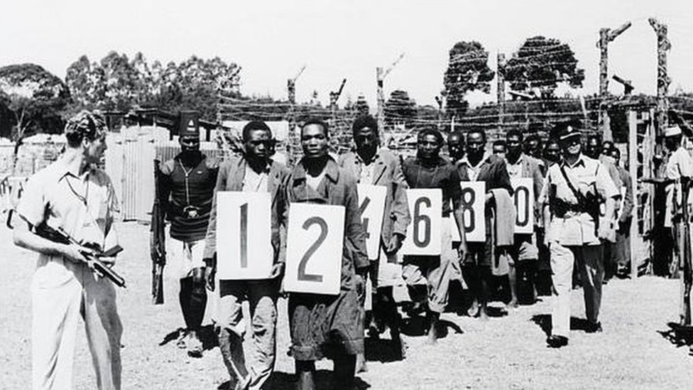 معتقلون من الماو ماو في معسكر اعتقال في كينيا عام 1953