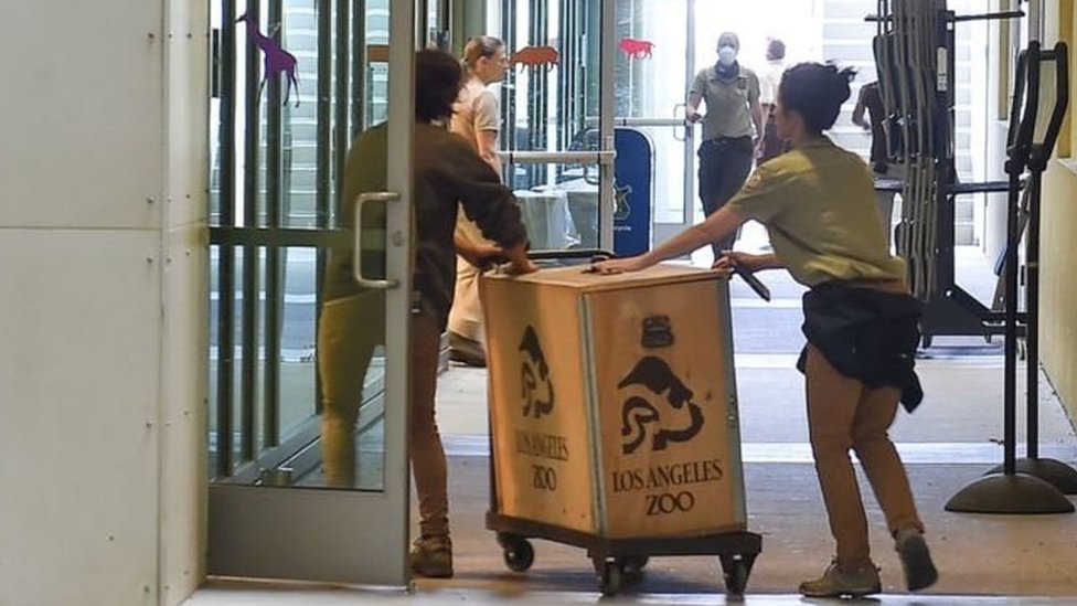 Kebun binatang Los Angeles mengungsikan sementara sejumlah binatang dan ditutup pada hari Jumat.