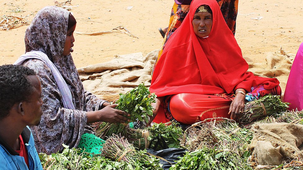 Женщины продают пачки слабого стимулятора, известного в местном масштабе как кат, на рынке в столице Сомали, Могадишо, 18 июня 2012 года.