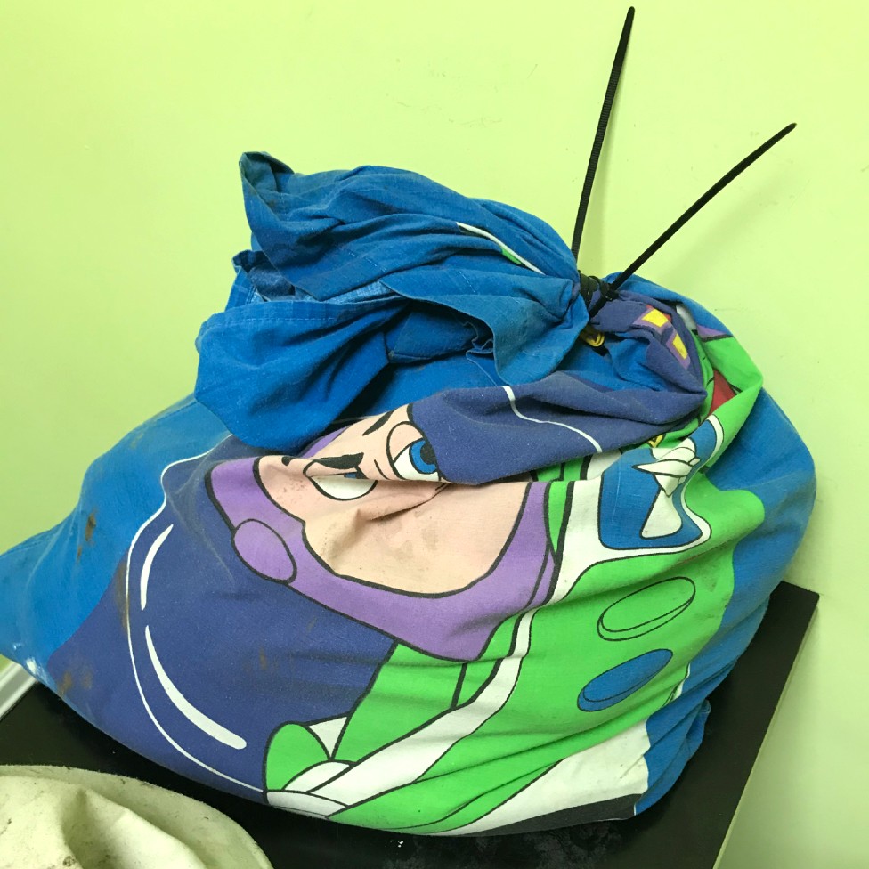 Snakes in the Buzz Lightyear pillow case