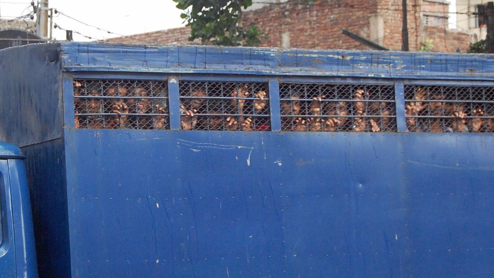 Заключенные в Бангладеш