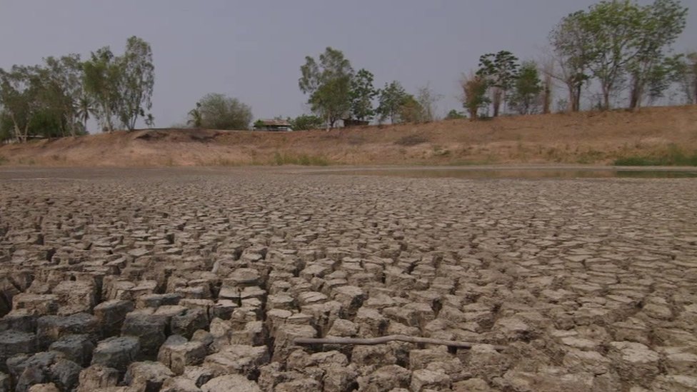 Thailand faced with worst drought in decades BBC News