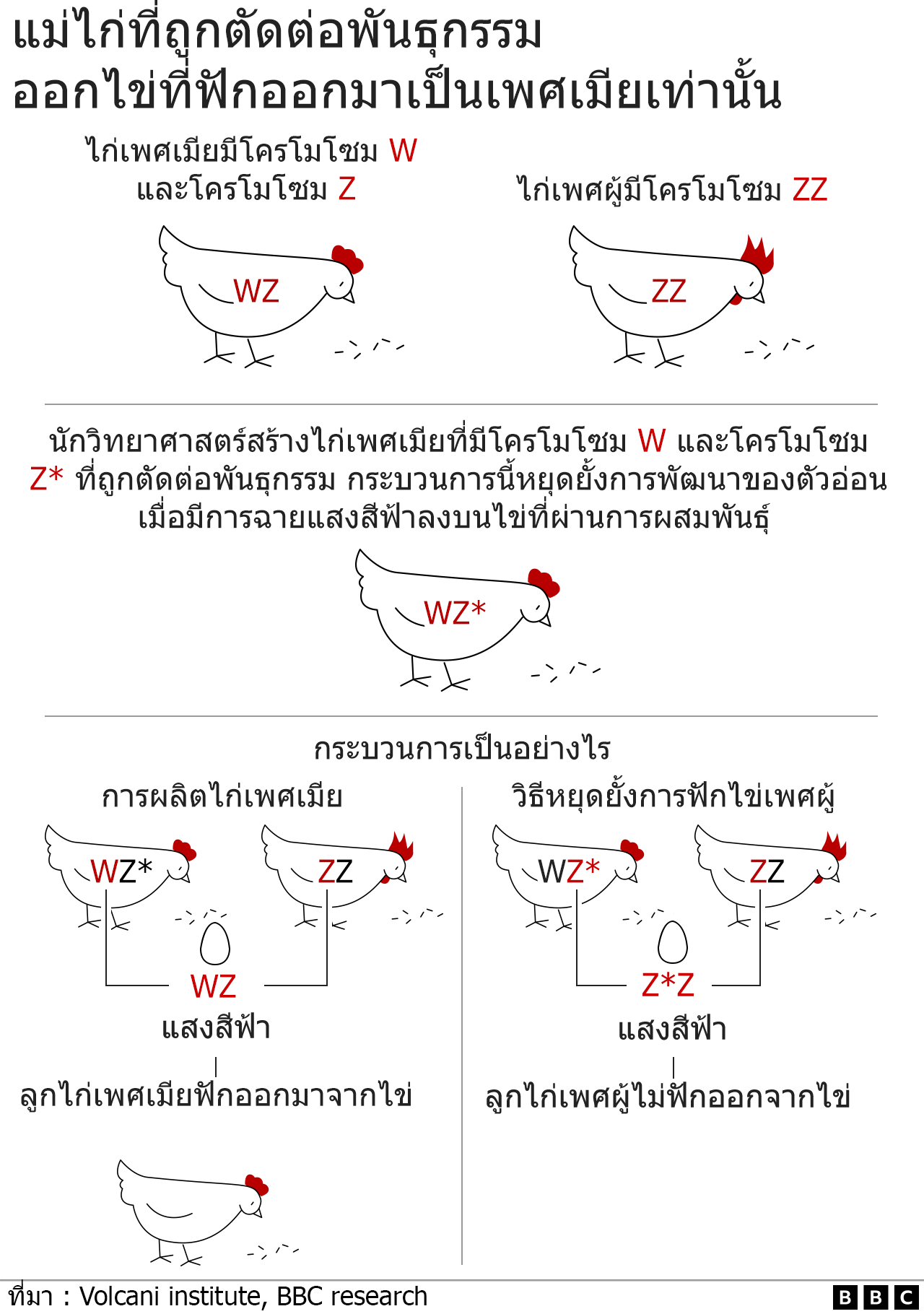 กราฟิก