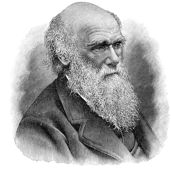 Dibujo de Charles Darwin