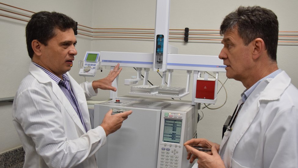 Los investigadores creen que las especies nativas poco conocidas pueden brindarle a Brasil beneficios económicos y científicos. Foto: Cesar Maia | FOP | Unicamp Severino Alencar y Pedro Rosalen