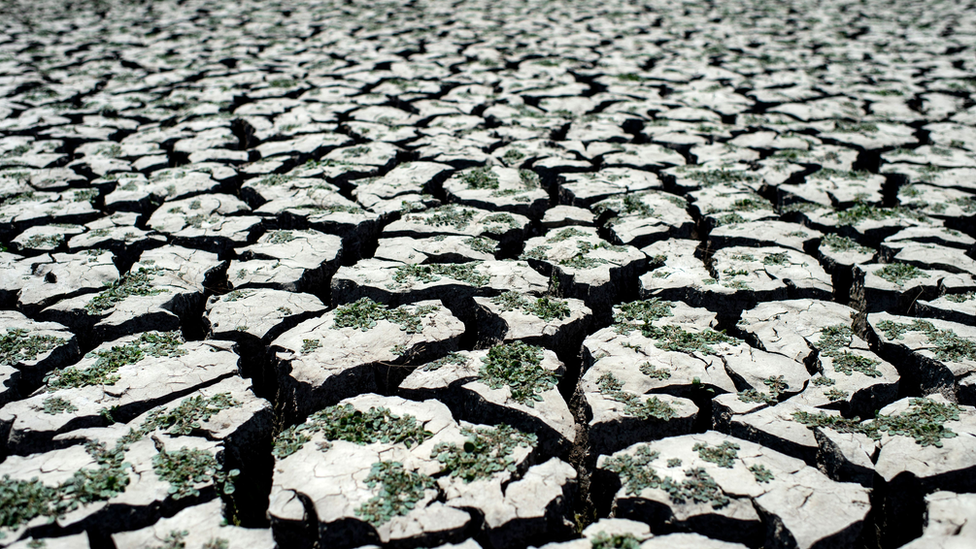 Засуха. Глобальное потепление засуха. Изменение климата. Изменение климата засуха.