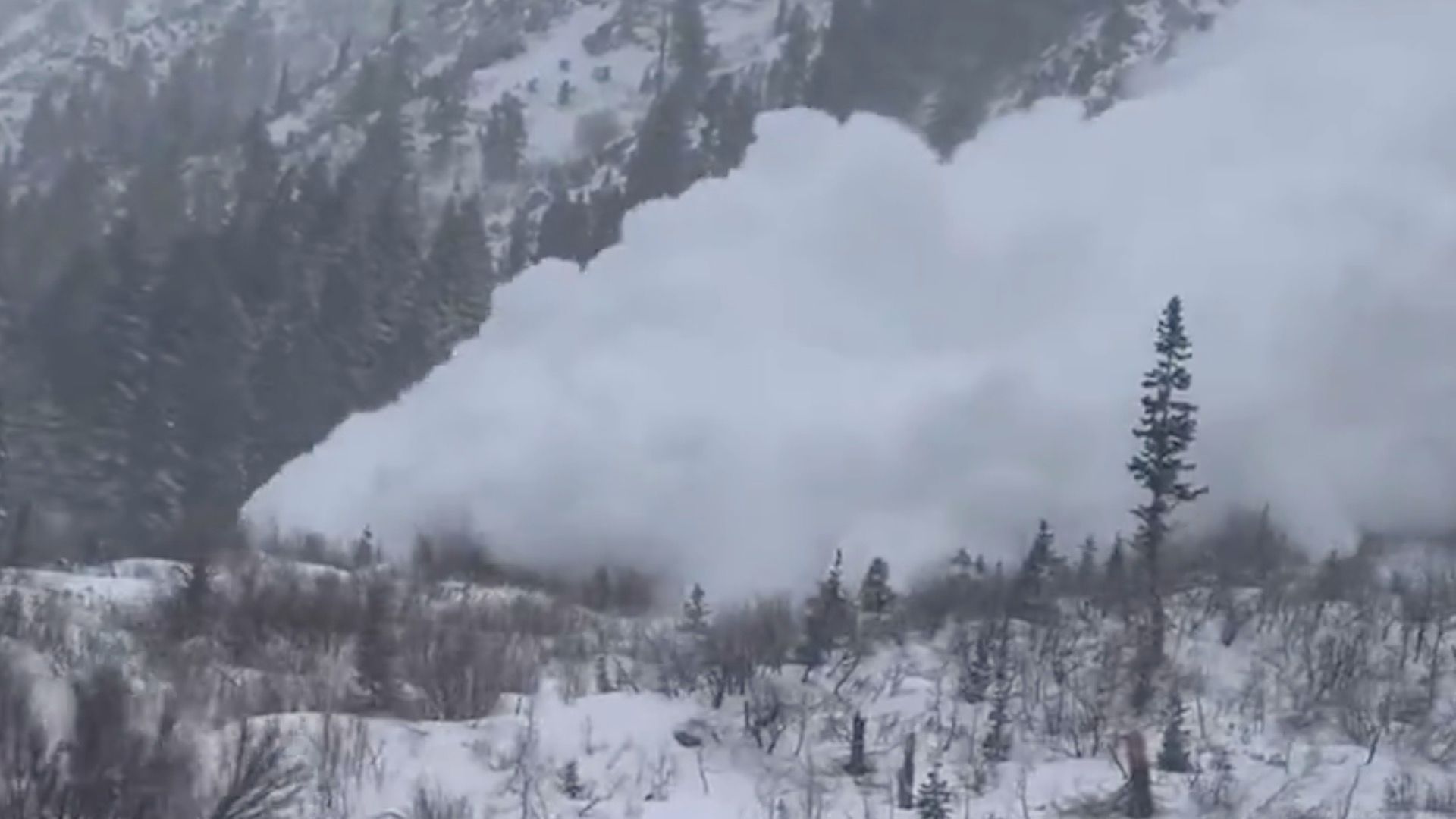 Storm Blair: Watch moment avalanche barrels down Utah mountain