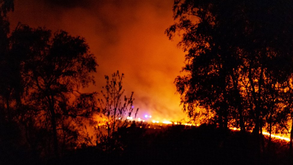 Пожар в лесу Эшдаун
